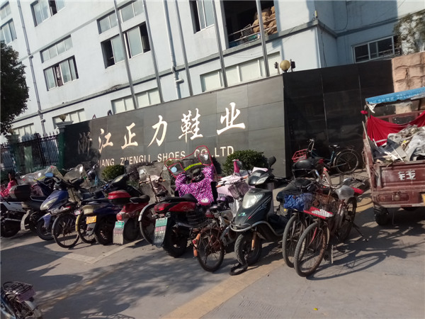 浙江正力鞋業(yè)有限公司VOCs廢氣治理工程——等離子有機廢氣凈化器(圖1)