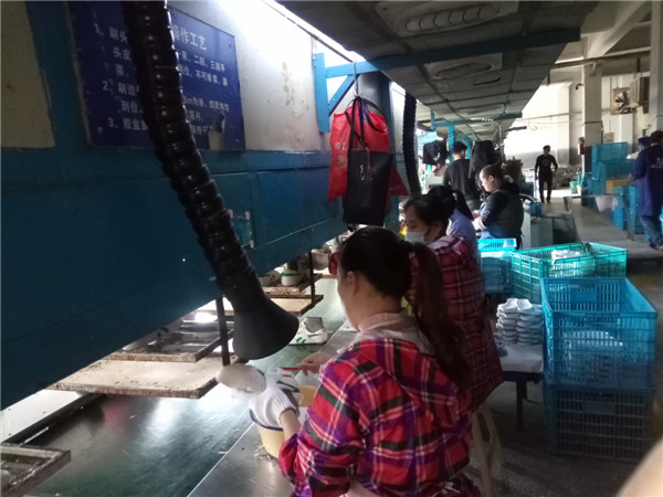 浙江正力鞋業(yè)有限公司VOCs廢氣治理工程——等離子有機廢氣凈化器(圖5)