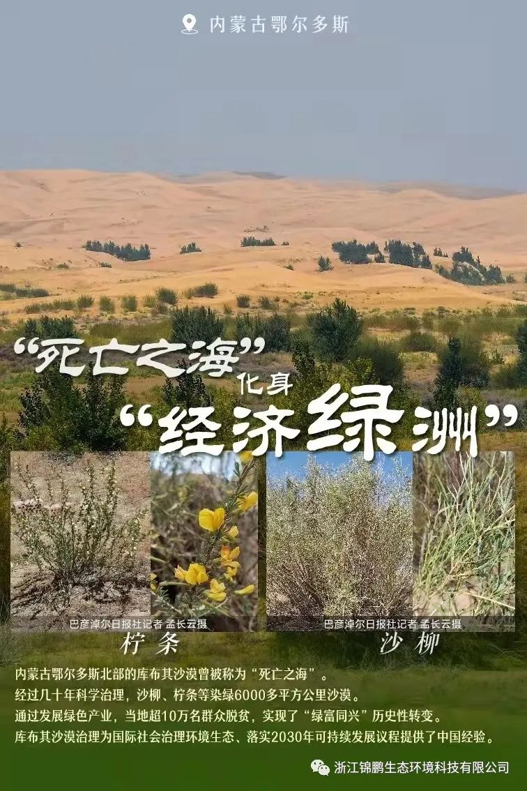 這片綠，“植”抵人心！(圖2)