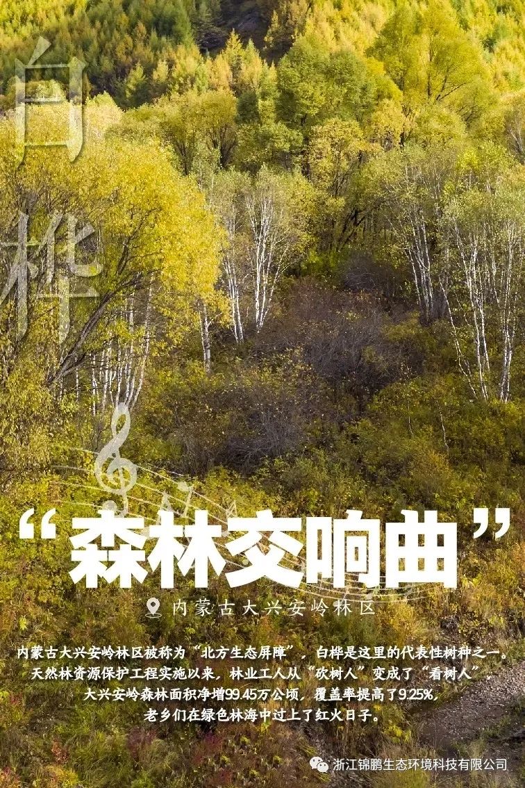 這片綠，“植”抵人心！(圖4)