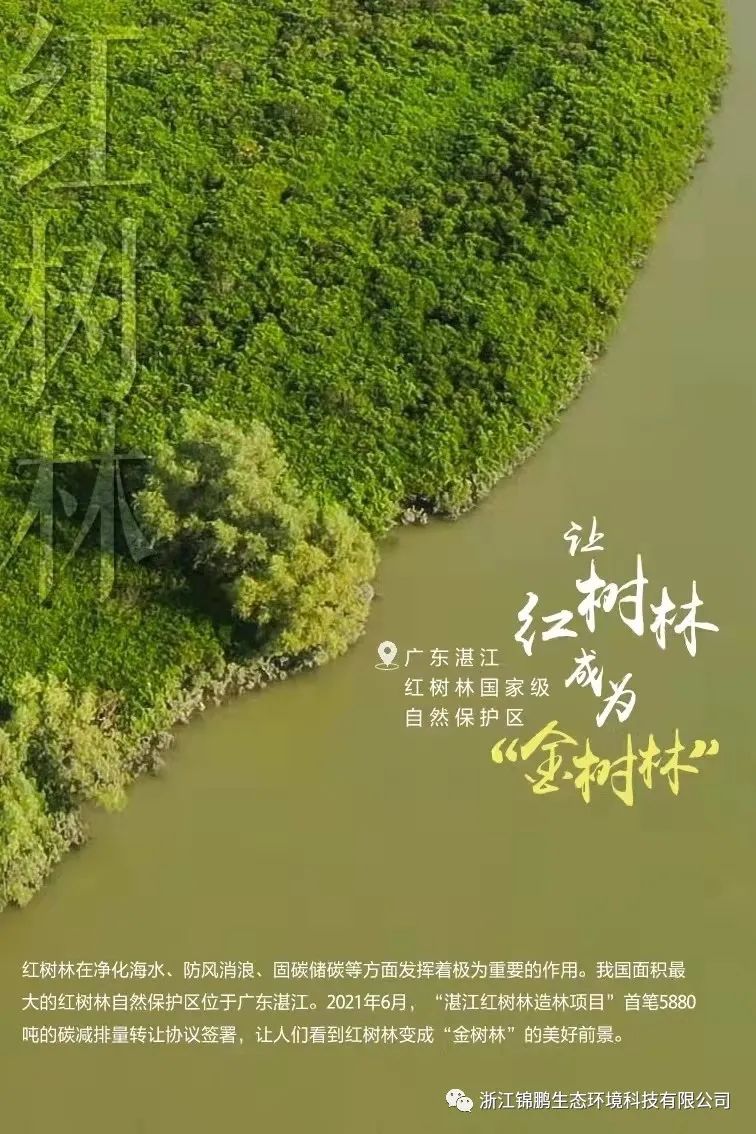 這片綠，“植”抵人心！(圖5)