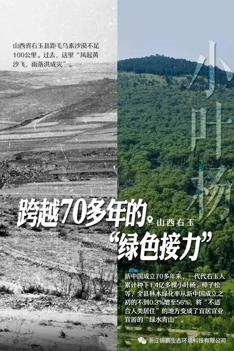 這片綠，“植”抵人心！(圖6)