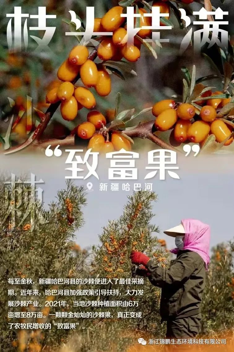 這片綠，“植”抵人心！(圖8)