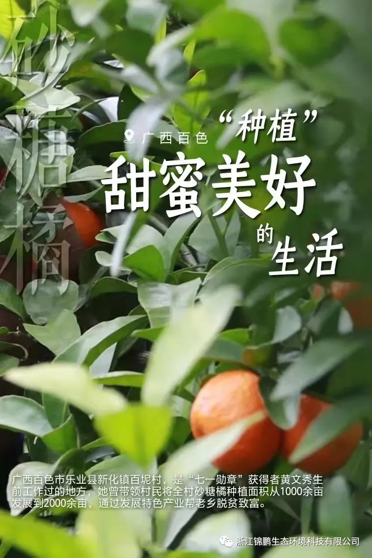 這片綠，“植”抵人心！(圖9)