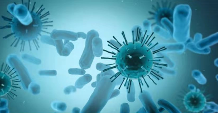 生物法處理VOCs的適用范圍及注意事項(圖1)