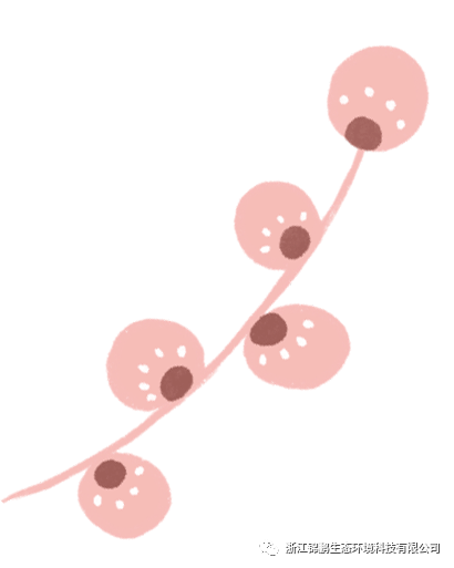 錦鵬環(huán)保團建活動--“保護生態(tài)環(huán)境 倡導(dǎo)文明新風(fēng)”(圖1)