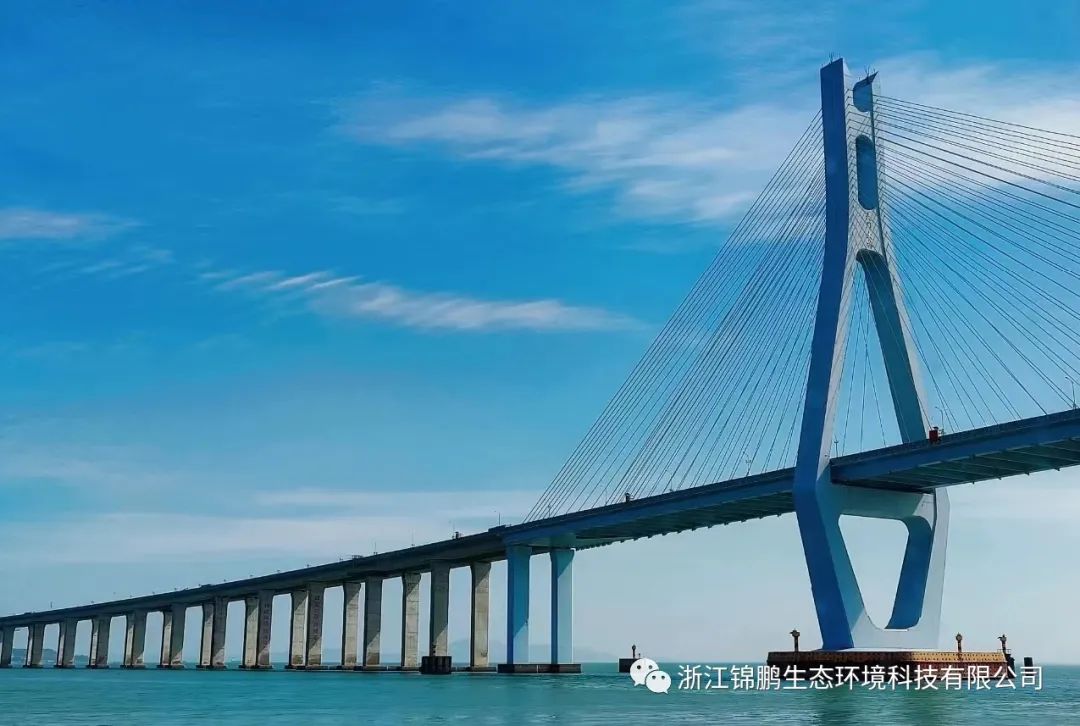 錦鵬環(huán)保團建活動--“保護生態(tài)環(huán)境 倡導(dǎo)文明新風(fēng)”(圖4)