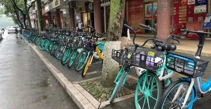 新時代文明實踐｜“中國夢.文明隨手拍”活動作品展示(圖7)